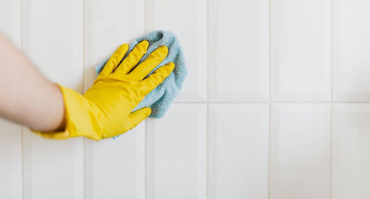 cleaning-737x397